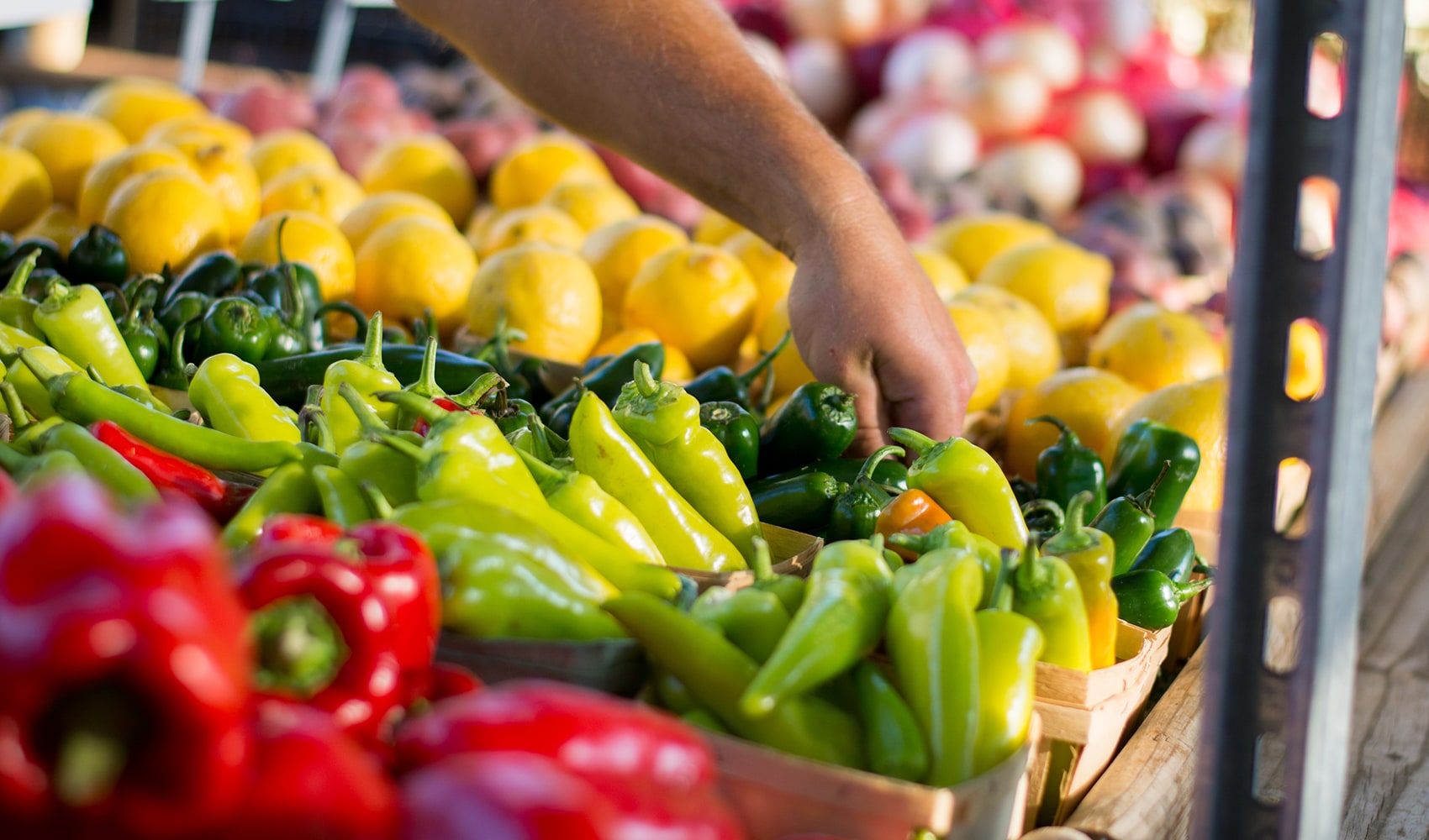 A hand reaching for a basket of red, green and yellow peppers at a farmers market table