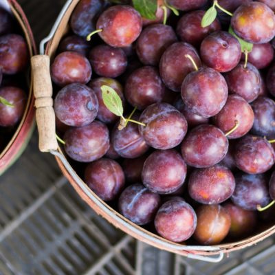 Two wooden buckets of purple plums sitting on a metal shelf